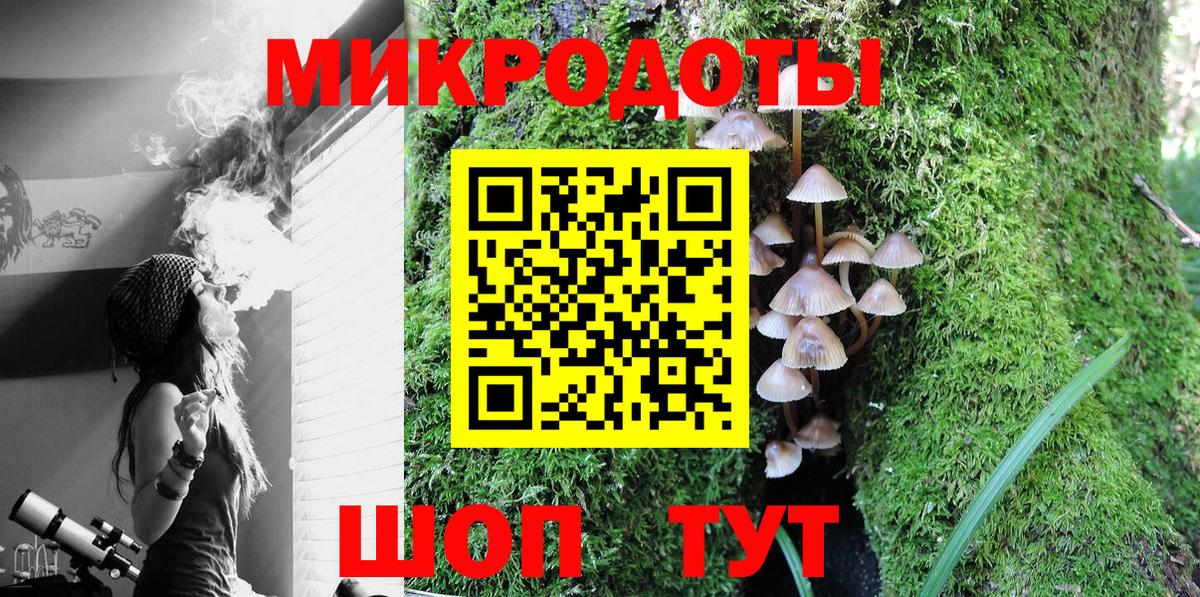 Кашира  Псилоцибиновые грибы Psilocybe  Вход с VPN 