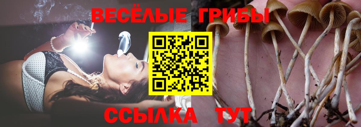 Галлюциногенные грибы ЛСД Кашира